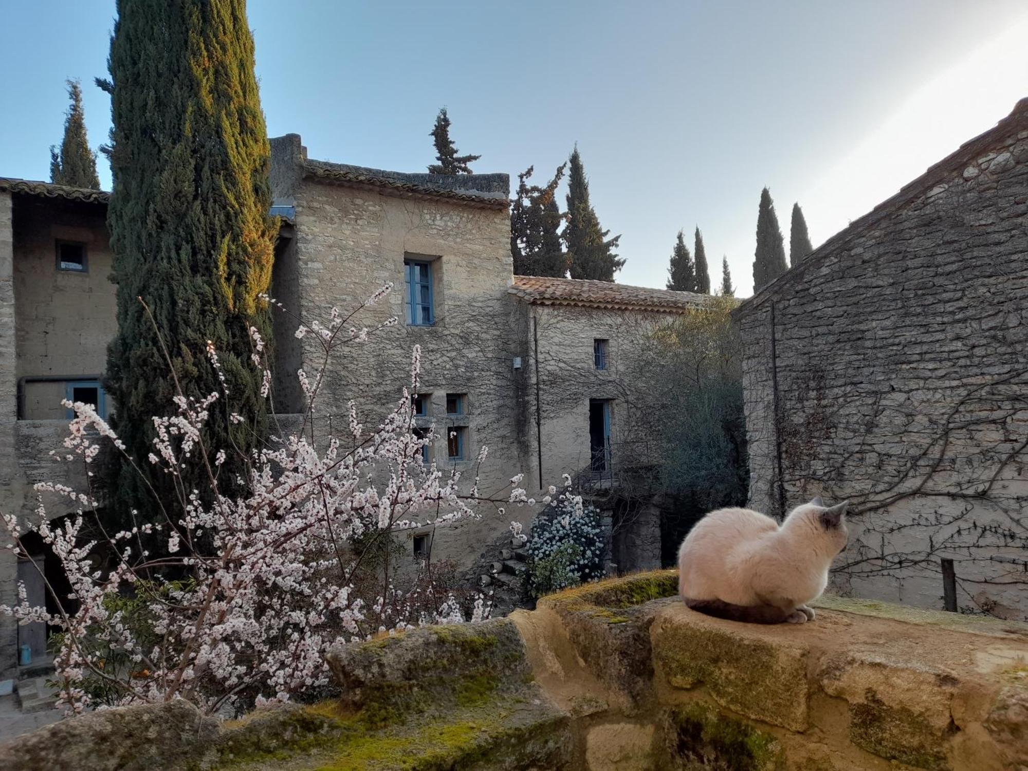 Le Mas Du Lac Uzès Екстериор снимка