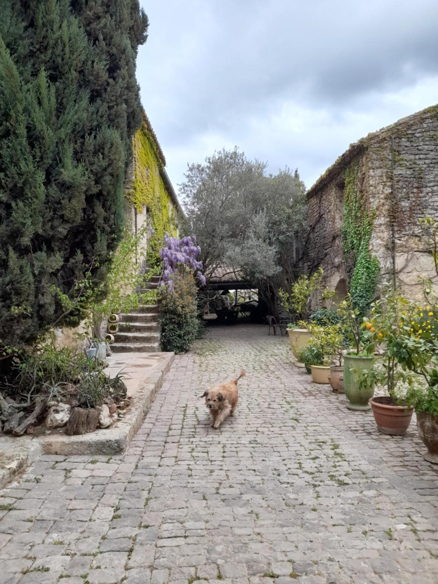 Le Mas Du Lac Uzès Екстериор снимка
